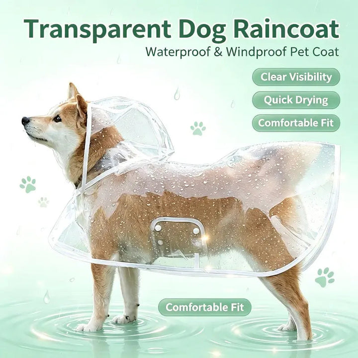 Clear Hooded Dog Raincoat — product photo