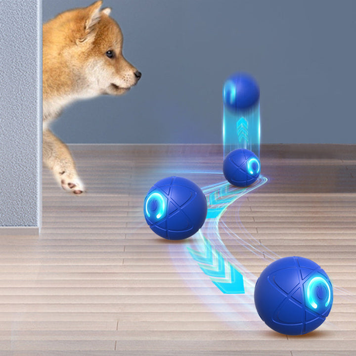 Interactive Pet Play Ball — additional details and use