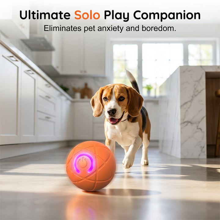 Interactive Pet Play Ball — product photo