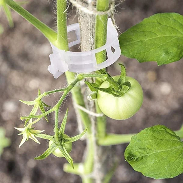 Climbing Plant Support Clip Set — product view