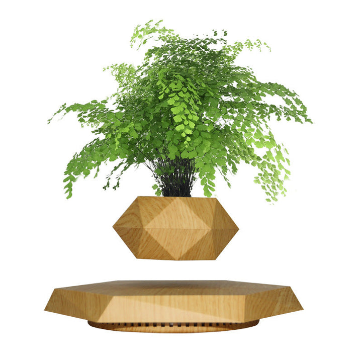 Levitating Wood-Look Planter — product view