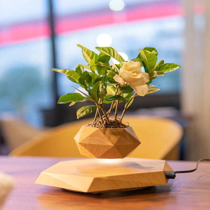 Levitating Wood-Look Planter — detail view