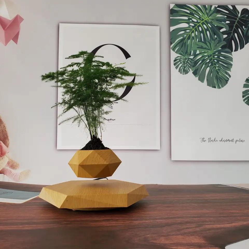 Levitating Wood-Look Planter — additional product view