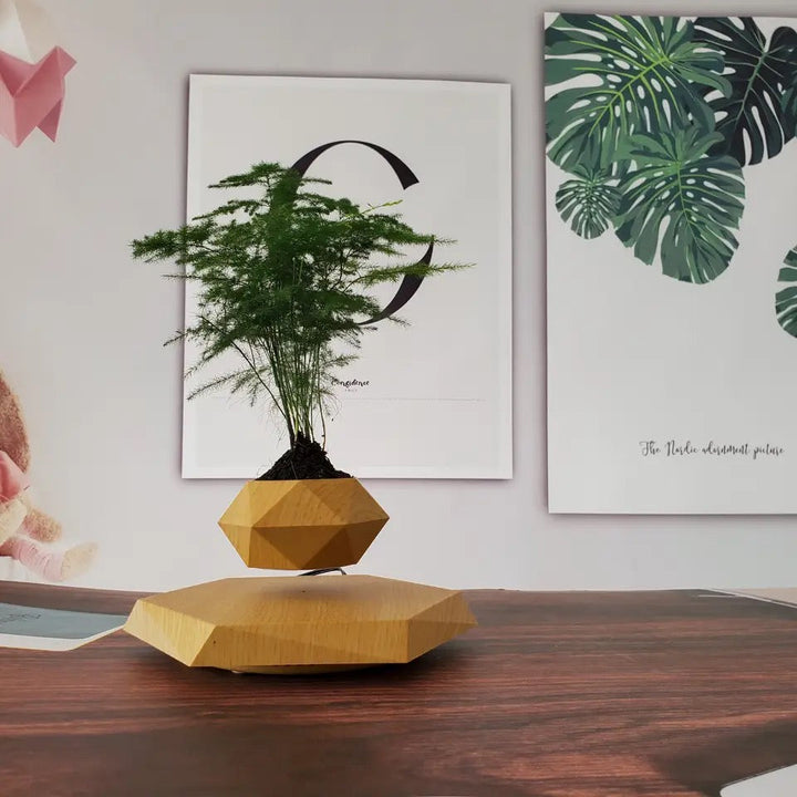 Levitating Wood-Look Planter — additional product view