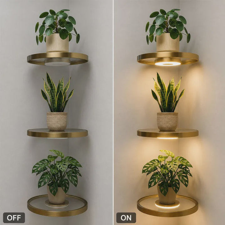 Plant Display Wall Shelf with Light — detail view