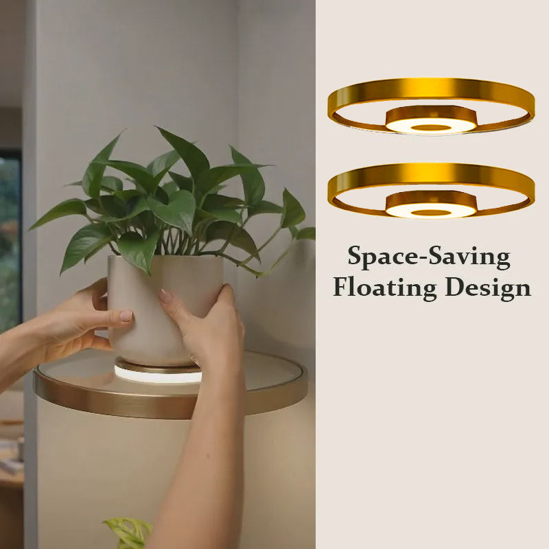 Plant Display Wall Shelf with Light — additional product view