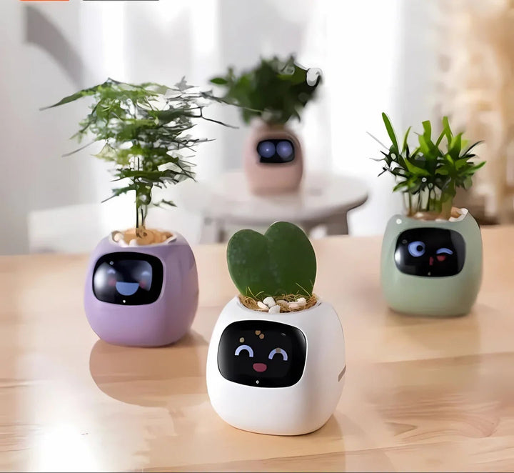 Smart Plant Display Pot — product view