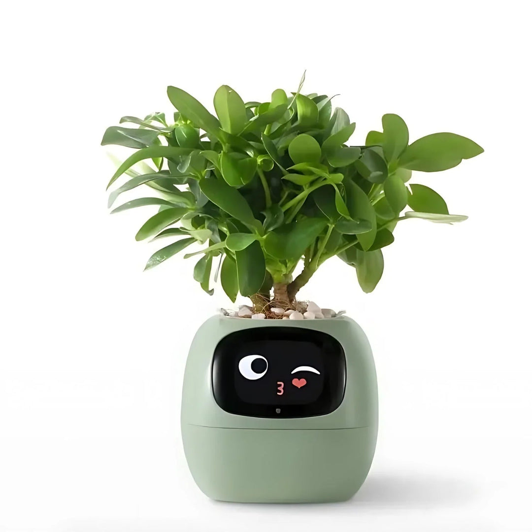 Smart Plant Display Pot — additional product view