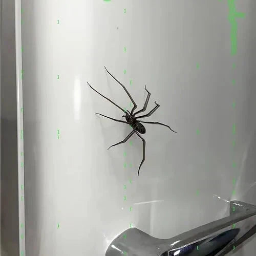 Spider Decoration Magnets — additional product view
